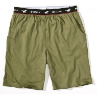 Pánske zelené kraťasy Brian Pánske zelené kraťasy Brian