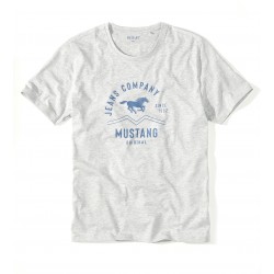 Šedé pánske tričko ARVID