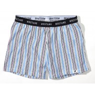 Dámske pásikavé kraťasy HAZEL