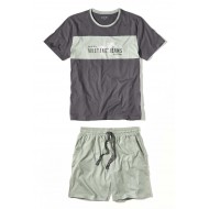 Pánske bavlnené pyžamo FERDY šedo/zelené -tričko + kraťasy