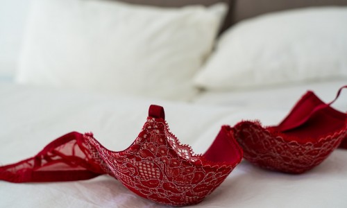 Vyberte si s nami dámsku podprsenku pre Vás! Vyberte si s nami dámsku podprsenku pre Vás!